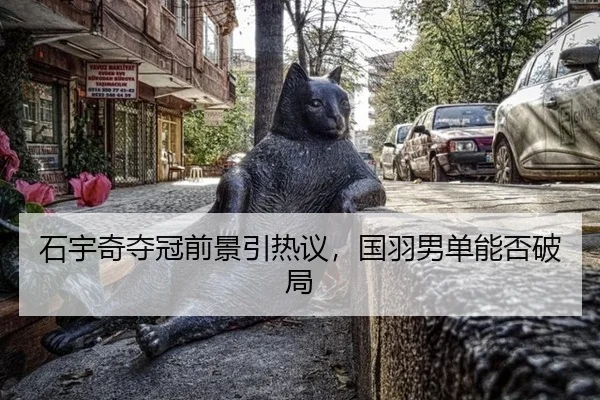 石宇奇夺冠前景引热议，国羽男单能否破局